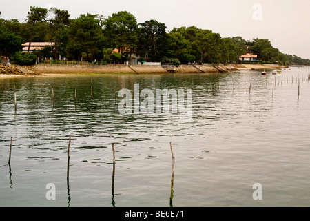 La sponda anteriore in Cap Ferret sul Bassin d'Arcachon (Baia di Arcachon) mostra poli nell'acqua indicando oyster letti di raccolta Foto Stock