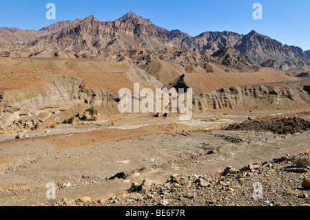 Wadi secco letto, Hajar al Gharbi montagne, Al Dhahirah regione, il sultanato di Oman, Arabia, Medio Oriente Foto Stock