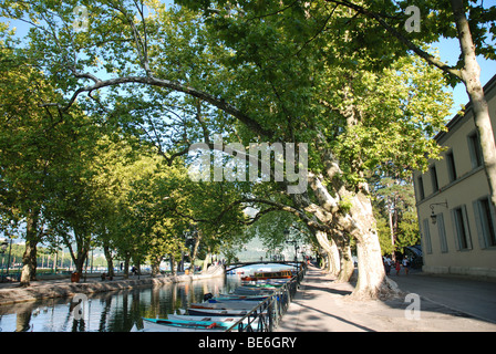 Viale alberato di canal a Annecy, Francia Foto Stock