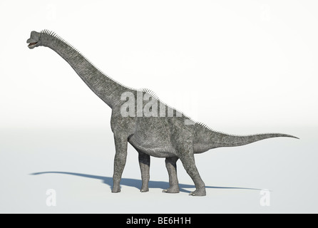 Brachiosaurus passeggiate Foto Stock