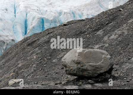 Glaciale masso erratico in prossimità Exit Glacier, Seward, Alaska Foto Stock