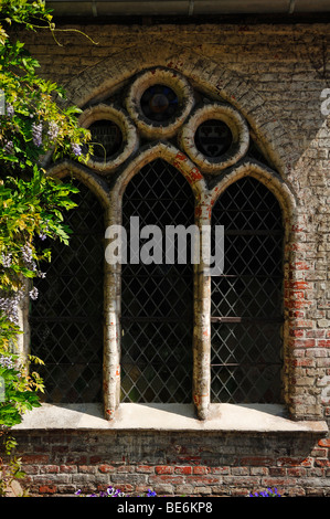 Finestra gotica nel monastero Luenen, Lueneburg, Bassa Sassonia, Germania, Europa Foto Stock