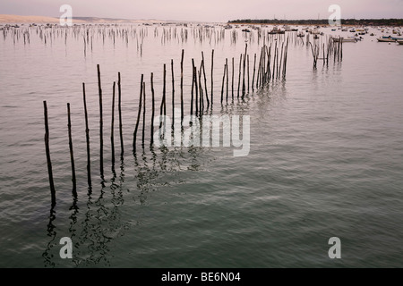 La sponda anteriore in Cap Ferret sul Bassin d'Arcachon (Baia di Arcachon) mostra poli nell'acqua indicando oyster letti di raccolta Foto Stock