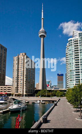 Toronto;;Ontario Canada; Waterfront condomini edifici per uffici e la famosa CN Tower, i mondi più alto free standing torre Foto Stock