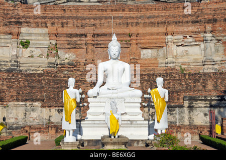 Statue di Buddha, grande Chedi Chaya Mongkol, Wat Yai Chai Mongkon, Ayutthaya, Thailandia, Asia Foto Stock