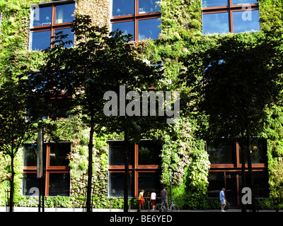 Giardino Verticale di Patrick Blanc,Musee du Quai Branly, Parigi, Francia Foto Stock