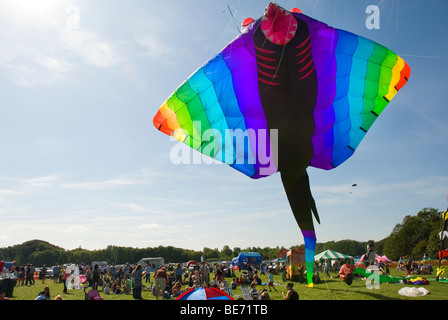 Gigantesco Aquilone, Stingray, Manta, persone, International Kite Festival, Bristol, Regno Unito Foto Stock