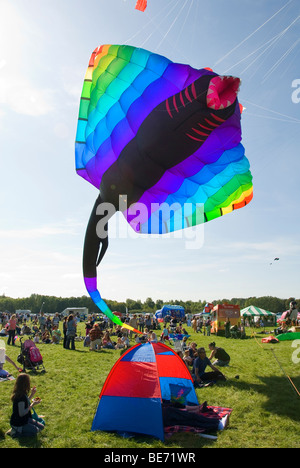 Gigantesco Aquilone, Stingray, Manta, persone, International Kite Festival, Bristol, Regno Unito Foto Stock