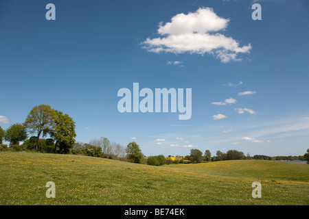La primavera in Brodersby comune, regione Angeln, orientale verso il basso, Schleswig-Holstein, Germania, Europa Foto Stock