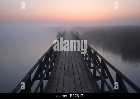 Vista dal molo di attracco al di sopra del lago Federsee prima dell'alba, riserva naturale vicino a Bad Buchau, Biberach distretto amministrativo, fino Foto Stock