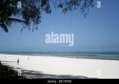 Diani Beach Mombasa, in Kenya, Africa Foto Stock