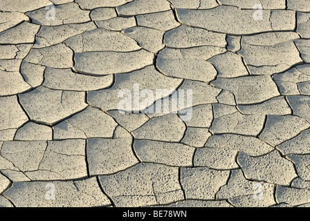 Essiccato pozza di fango secco con crepe e tracce di gocce di pioggia, l'autostrada 24 vicino a Caineville, Utah, Stati Uniti d'America Foto Stock