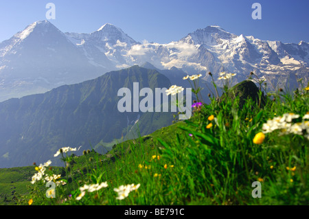 Vista sulle alpi svizzere con cime di Eiger, Moench e Jungfrau, da Schynige Platte, Oberland bernese, Svizzera Foto Stock