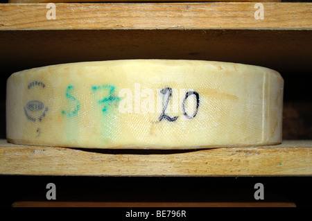 Ruote di Swiss Alp formaggio in magazzino di un caseificio, Svizzera Foto Stock