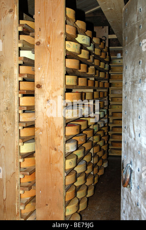 Ruote di Swiss Alp formaggio in magazzino di un caseificio, Svizzera Foto Stock