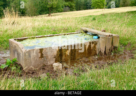 Calcestruzzo Decrepot abbeveratoio in un ampio campo di essere pascolato da pecora in Herefordshire, Inghilterra Foto Stock