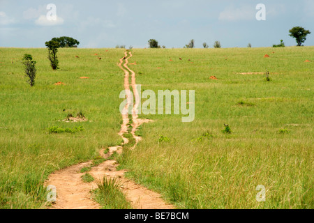 Vista lungo una strada sterrata in Murchison Falls National Park in Uganda. Foto Stock