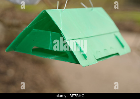 Carpocapsa del melo trappola a feromoni Foto Stock