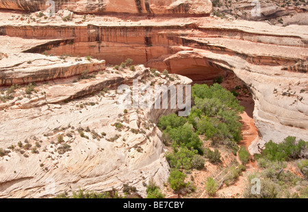 Utah ponti naturali Monumento Nazionale Kachina Bridge Foto Stock