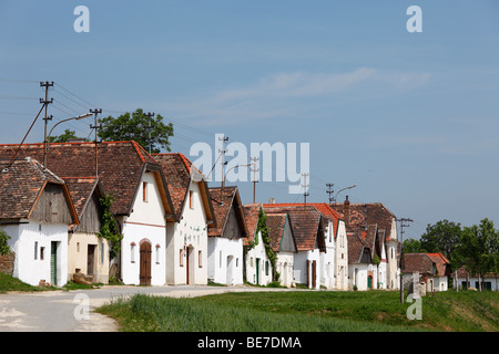 Kellergasse, fila di vino premere case in Diepolz, Weinviertel, Austria Inferiore, Austria, Europa Foto Stock