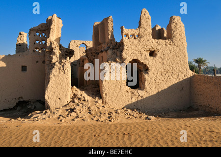 Adobe storiche rovine della vecchia città di Buraimi, Al Dhahirah regione, il sultanato di Oman, Arabia, Medio Oriente Foto Stock