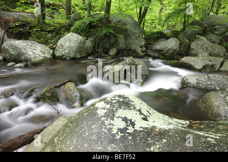 Flussi di acqua verso un fiume situato nello Stato della Virginia. Foto Stock