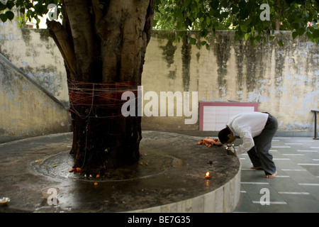 Un uomo fa un sacrificio agli dèi presso un santuario di albero in un tempio indù Janakpuri, New Delhi, India Foto Stock