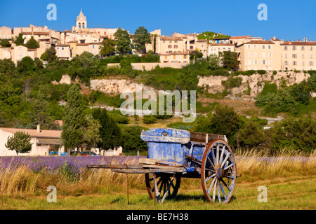 Vecchia Raccolta di lavanda carrello nel campo degli agricoltori con la città di Sault oltre, Provenza Francia Foto Stock