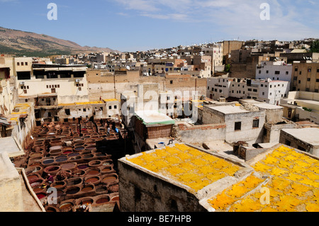 Il Marocco; Fes; Medina: Chouwara Conceria; Foto Stock