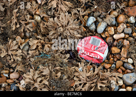 Un scartato Coke può su alghe e ghiaiosa spiaggia coperta Foto Stock