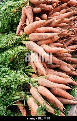Un gran mucchio di organico carote in stallo del mercato Foto Stock