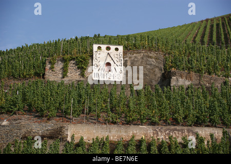 Zeltinger Sonnenuhr meridiana in Zeltingen vigneti, sul fiume Mosella, Germania Foto Stock