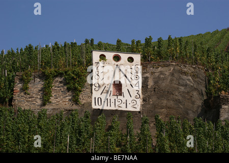 Zeltinger Sonnenuhr meridiana in Zeltingen vigneti, sul fiume Mosella, Germania Foto Stock