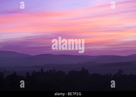 Una serata vista da Chillingham in Northumberland su campi e boschi verso le colline Cheviot. Inghilterra, Regno Unito Foto Stock