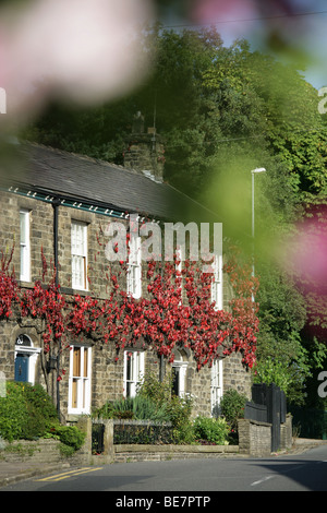 Città di Bollington, Inghilterra. Fila di cottage in stile case a Bollington's Palmerston Street. Foto Stock