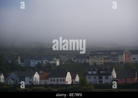 Nebbia di mattina clearing, Grevenmacher, Lussemburgo Mosella Foto Stock
