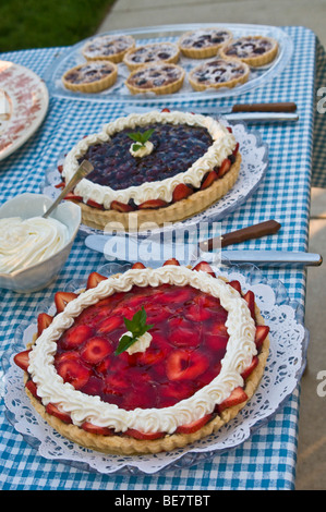 Zona picnic a buffet dessert mirtillo frutta fragola tort torta Foto Stock