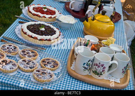 Zona picnic a buffet dessert mirtillo frutta fragola tort torta teiera Foto Stock