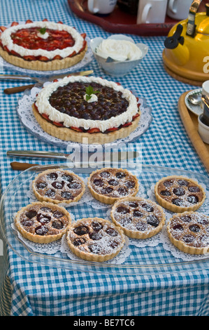 Zona picnic a buffet dessert mirtillo frutta fragola tort torta teiera Foto Stock