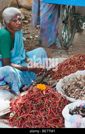 Donna vendita di peperoncino rosso in un Indiano strada del mercato di Puttaparthi, Andhra Pradesh, India Foto Stock