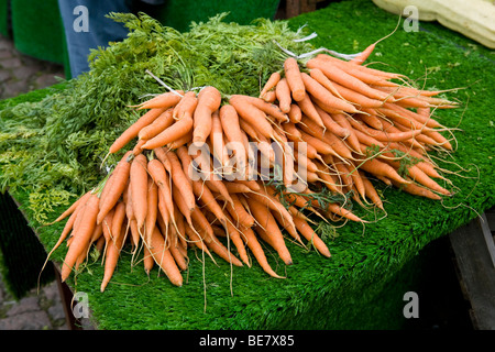 Le carote fresche in vendita presso il mercato Foto Stock