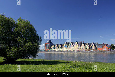 Siebenbirge e silo 23, granai convertiti in abitazioni e uffici presso il porto Rheinauhafen, Colonia, nella Renania del Nord, Foto Stock