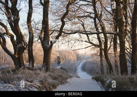 Doorkijkje op een landschap inverni; guardare attraverso in un paesaggio invernale Foto Stock