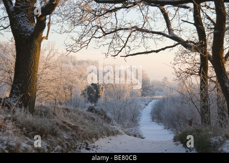 Doorkijkje op een landschap inverni; guardare attraverso in un paesaggio invernale Foto Stock