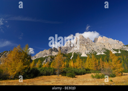 Gamma di cristallo sopra i larici in autunno colori, Dolomiti, Alto Adige, Italia Foto Stock