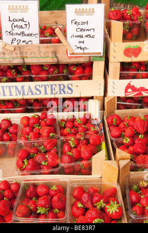 Locali di fragole fresche in vendita in North Norfolk Regno Unito Foto Stock