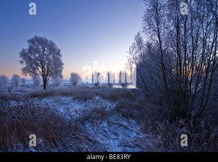 De Bossche Broek bedekt met rijp en sneeuw voor zonsopkomst; Il Bossche Broek prima dell'alba coperto con maturi e neve Foto Stock