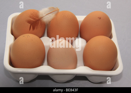Una mezza dozzina di uova in ceramica con scatola di piume di pollo Foto Stock