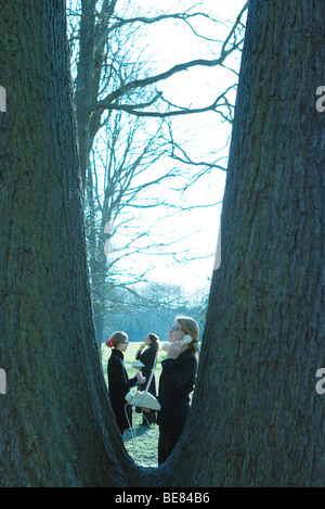 Le femmine in piedi all'aperto, utilizzando i telefoni di rete fissa, visto attraverso tronchi di alberi Foto Stock