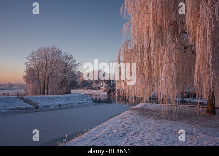 Il Bossche Broek prima dell'alba coperto con maturi e neve fotografato dal citywall in Den Bosch Foto Stock